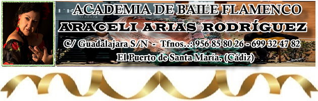 Academia de Baile Flamenco